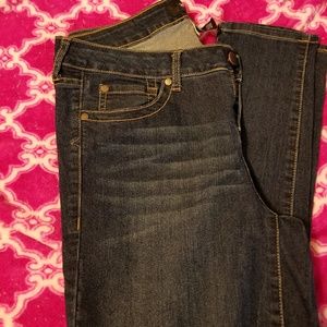 NWOT Torrid Sophia Jeggings